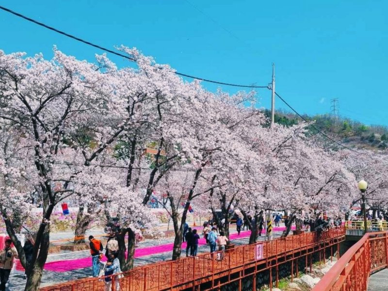 Seoul Morning Departure Tour group gathering at Seoul subway station in morning