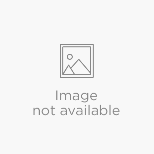 Nami + Gangchon Railbike + The Garden of Morning Calm One Day Tour - Guided Day Tour from Seoul Scenic tour destination landscape with travelers exploring Korea's famous landmarks