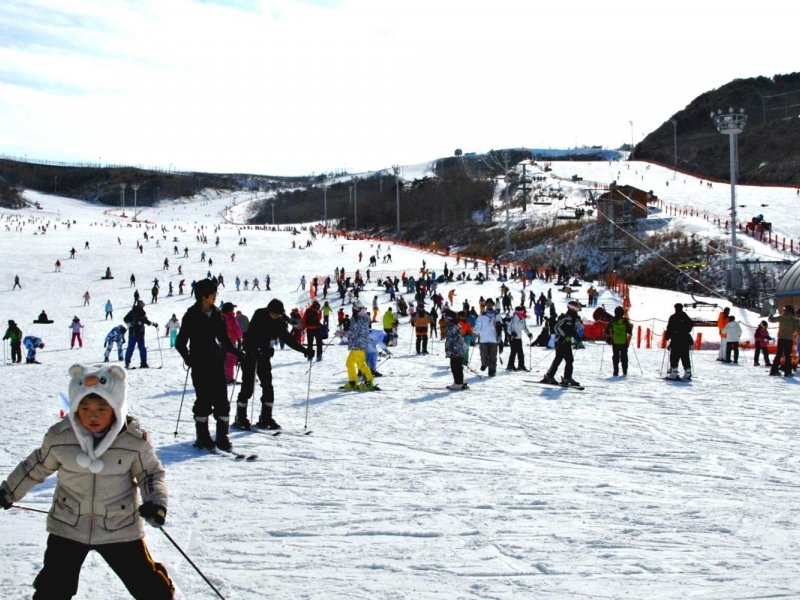 Eden Valley Resort Day Ski Tour in Korea Eden Valley Resort Day Ski Tour in Korea
