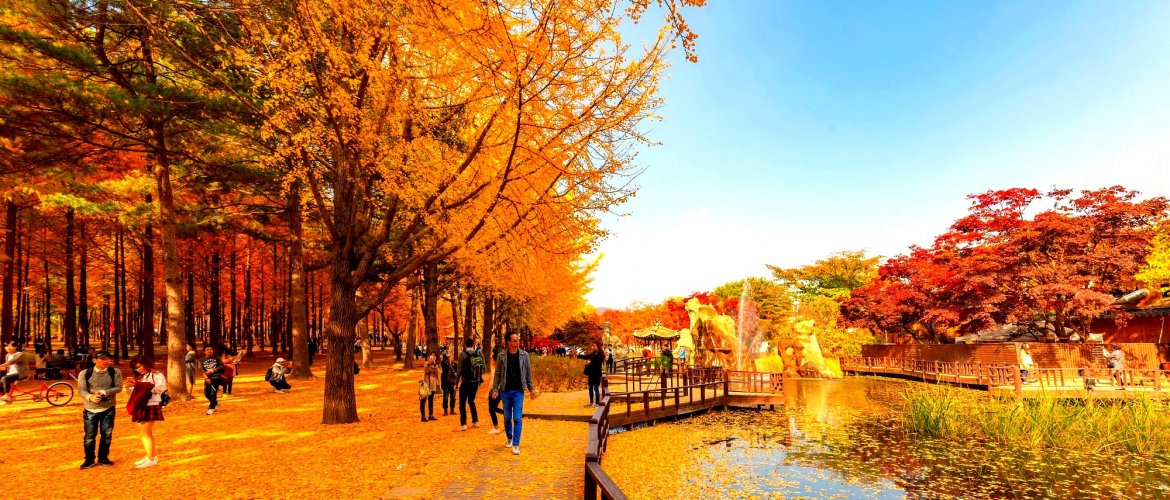 Nami Island independent shuttle experience Nami Island metasequoia tree-lined road and peaceful riverside walkways