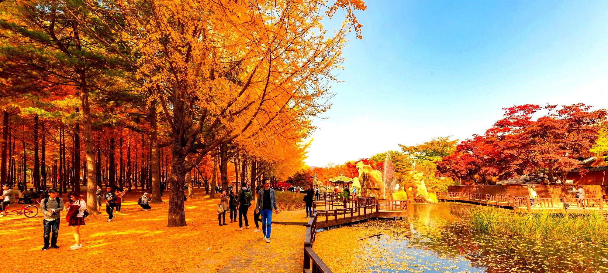 Important information for booking Nami + Gangchon Railbike + The Garden of Morning Calm One Day Tour Travelers preparing for tour with comfortable clothing and backpacks