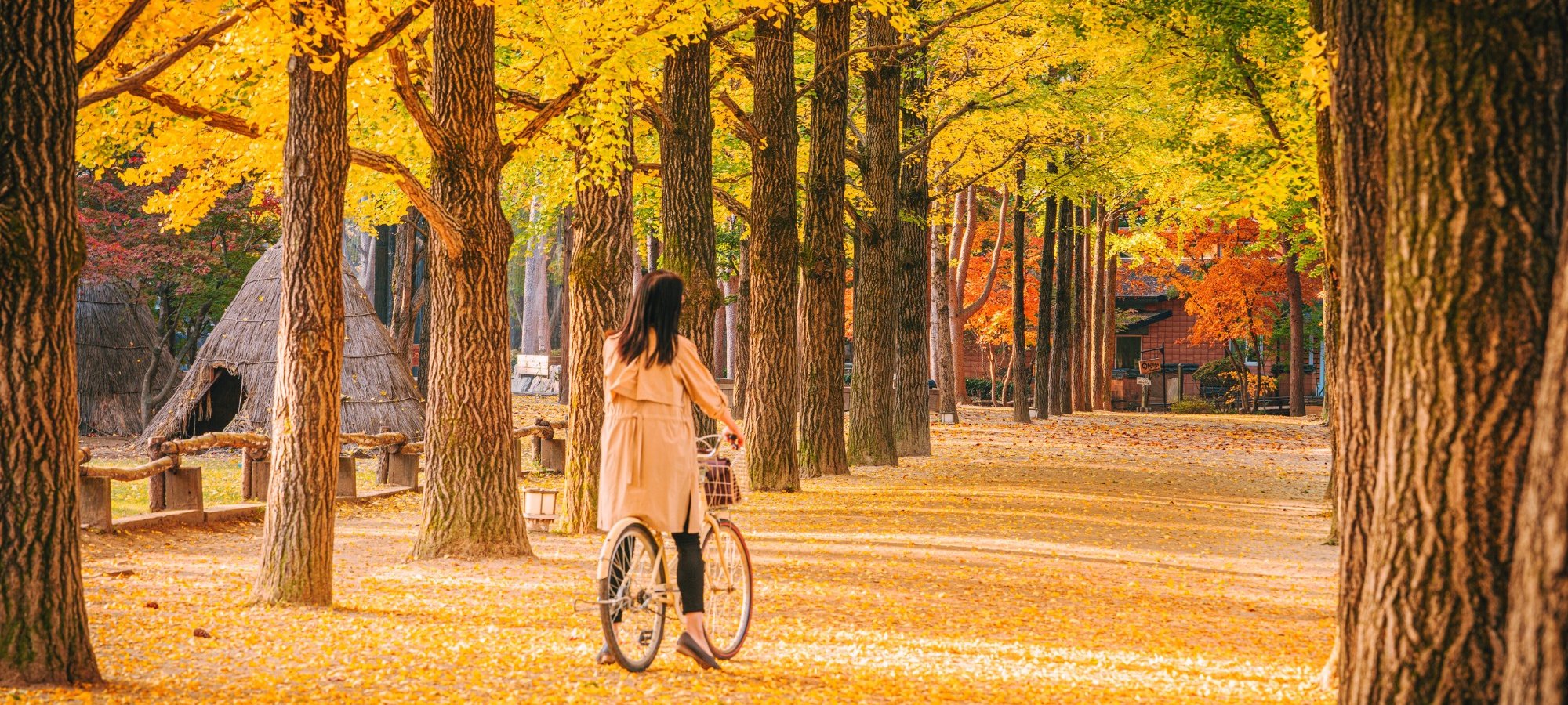 Photo of Nami Island + Petite France & Italian Village + Gangchon Railbike + The Garden of Morning Calm One Day Tour attractions Beautiful landscape view of tour destinations in Gapyeong and surrounding areas