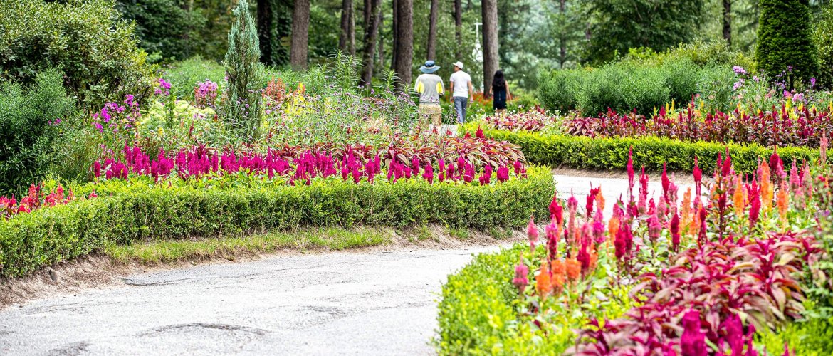 Services included in Nami Island + The Garden of Morning Calm + Petite France & Italian Village Tour bus with professional staff assisting travelers at Seoul pickup point