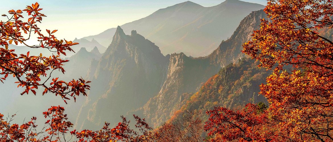Nami Island and Mt. Seorak tour highlights Nami Island metasequoia avenue and Mt. Seorak granite peaks scenic views