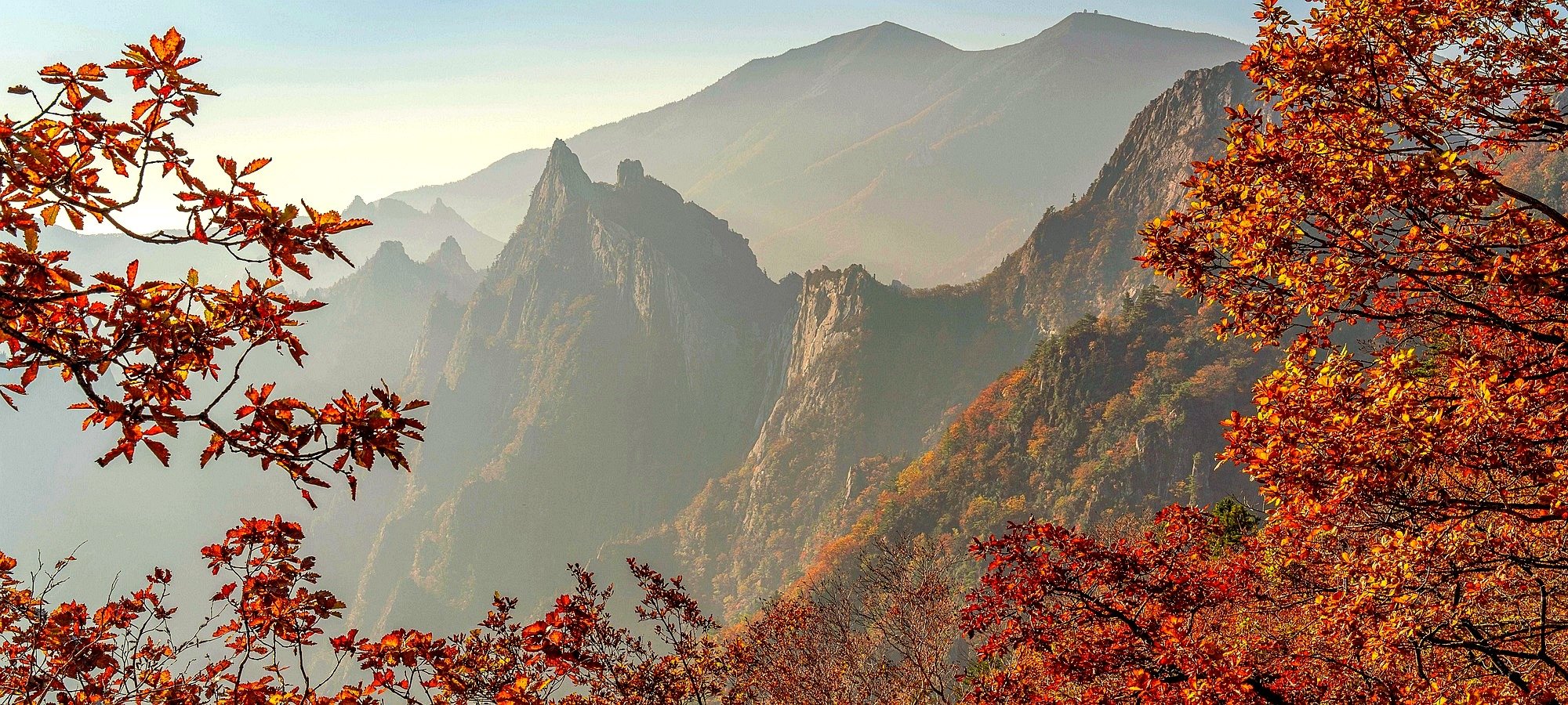 Services included in Nami Island and Mt. Seorak tour Nami Island ferry and Mt. Seorak hiking trail with nature