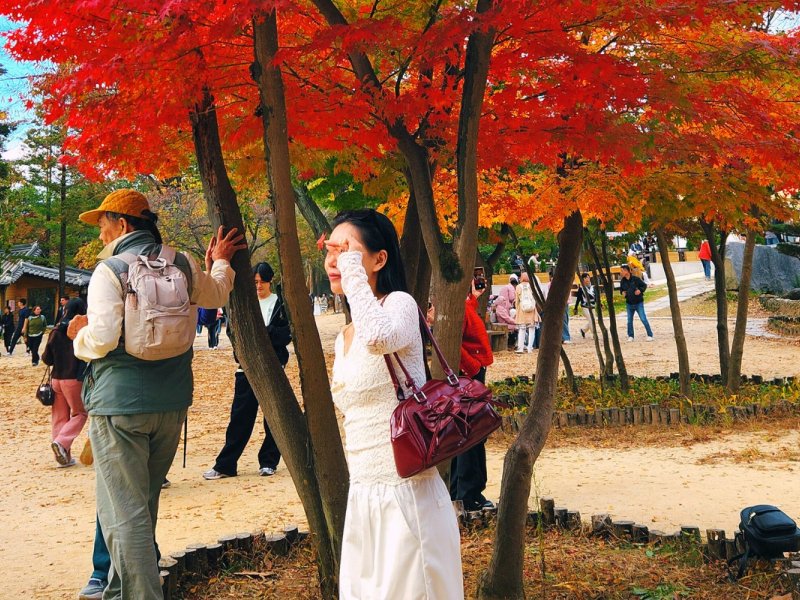 Tour Benefits Friends posing at Nami Island