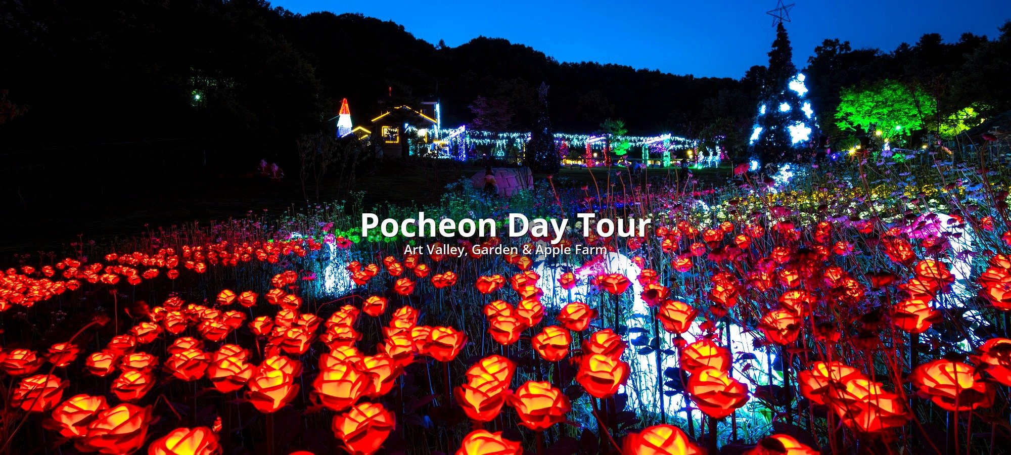 Services included in Pocheon tour Tour bus and apple farm with visitors picking fresh fruit