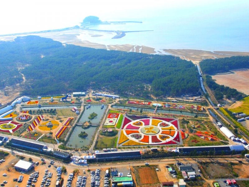 Taean and Strawberry Tour Map Tour map showing the festival and farm locations