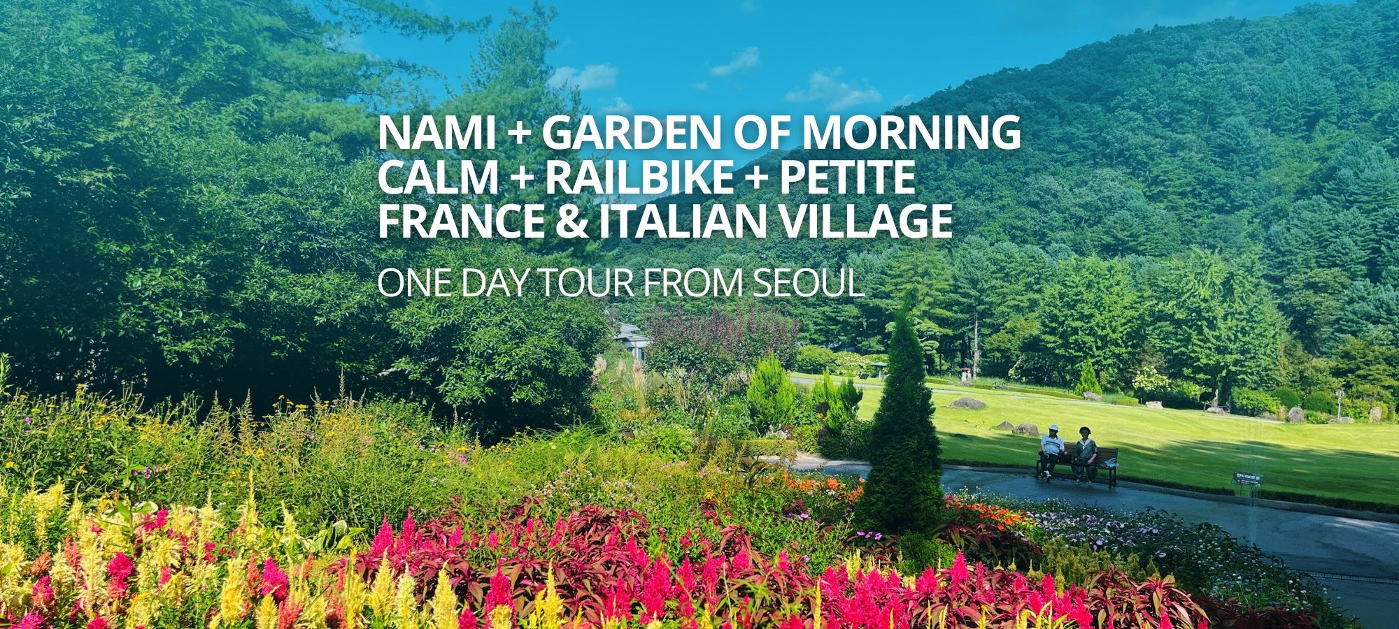 Nami Island + Petite France & Italian Village + Gangchon Railbike + The Garden of Morning Calm One Day Tour - Guided Day Tour from Seoul Scenic tour destination landscape with travelers exploring Korea's famous landmarks