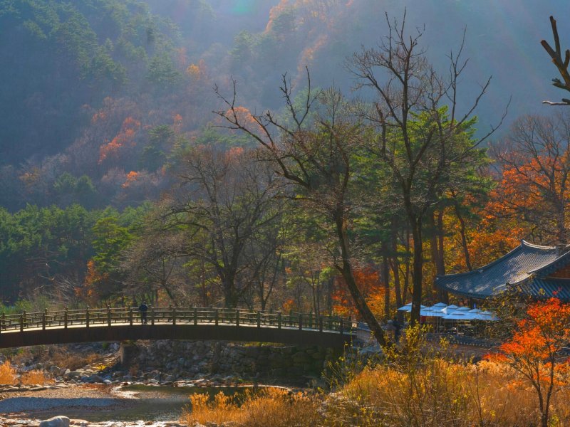 Mt. Seorak and Naksansa Highlights Cable car and Naksansa coast view