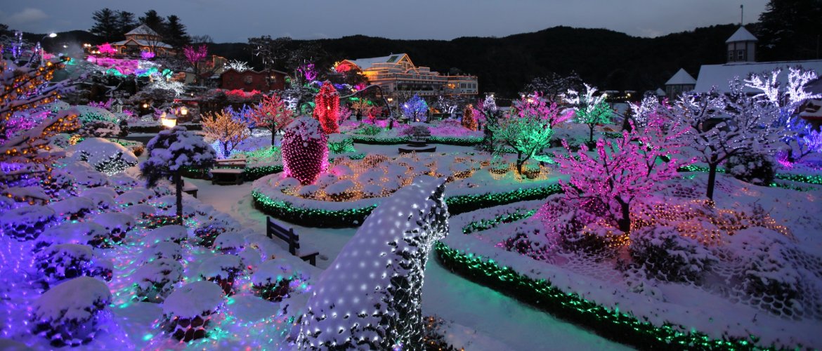 Highlights of Pocheon tour experience Pocheon Art Valley modern art with Garden of Morning Calm botanical beauty