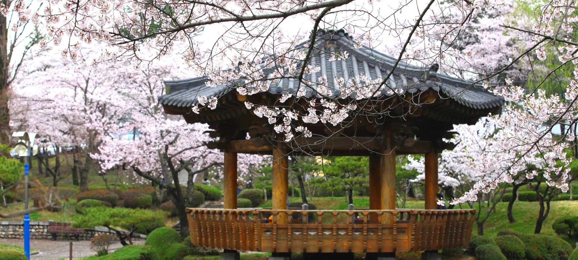 Daereungwon Tombs and Hwangridan Street highlights Daereungwon Royal Tomb Complex with preserved Cheonmachong tomb mound