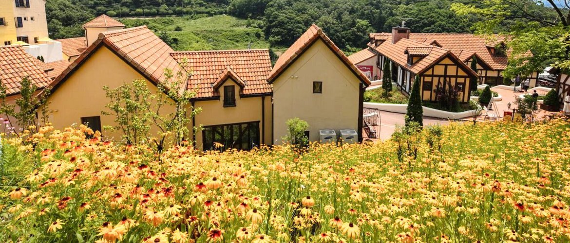 Highlights of Nami Island + Petite France & Italian Village + Gangchon Railbike + The Garden of Morning Calm One Day Tour Tour group enjoying scenic views at a major attraction