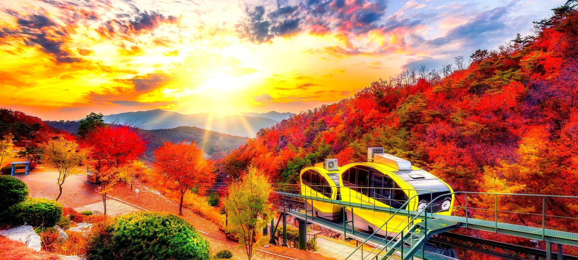 Important information for Pocheon tour Visitors enjoying art, gardens, and apple picking experiences