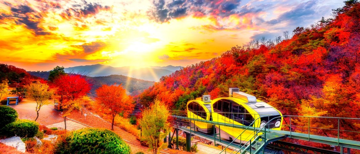 Important information for Pocheon tour Visitors enjoying art, gardens, and apple picking experiences
