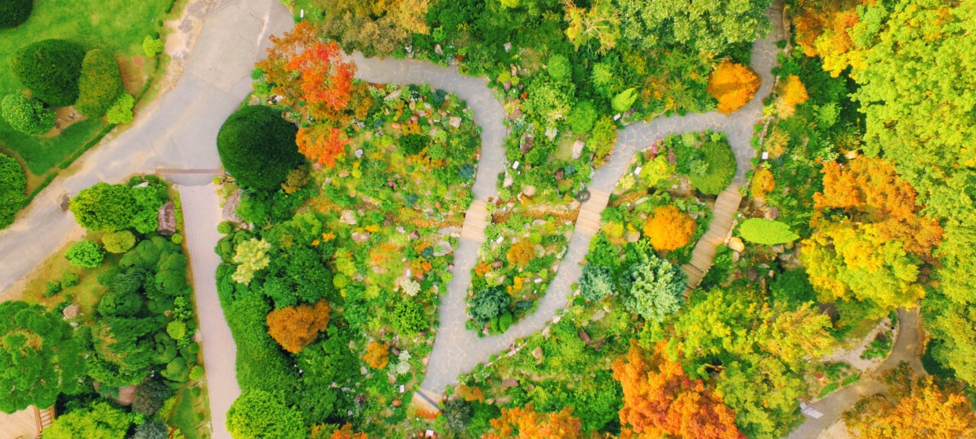 Services included in Nami Island + Petite France & Italian Village + Gangchon Railbike + The Garden of Morning Calm One Day Tour Tour bus with professional staff assisting travelers at Seoul pickup point