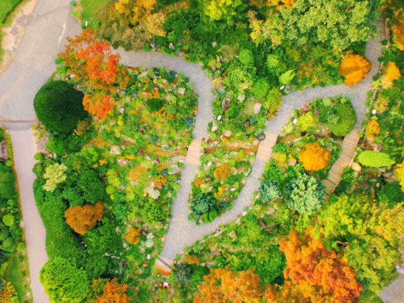 Garden of Morning Calm Light Festival Seasonal festival lighting at The Garden of Morning Calm