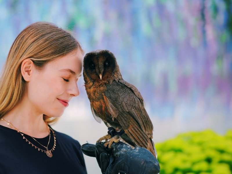 Book Nami & Bird Park Tour Booking banner with birds and flowers