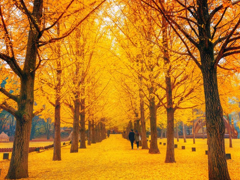 Tour Route Map Map showing route from Seoul to attractions