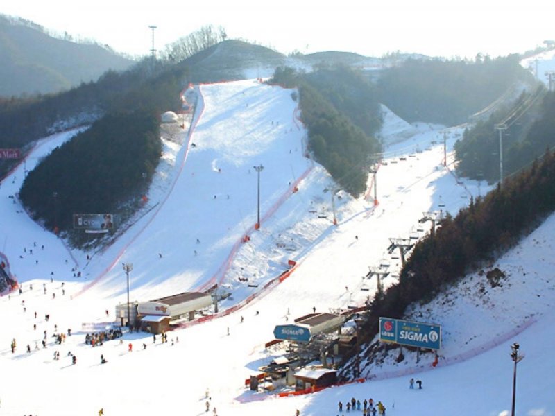 Join our Elysian Gangchon Ski Resort Day Tour for skiing, sledding, and breathtaking snowscapes.