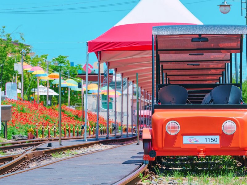 Tour Highlights Highlight collage of Nami Island, Petite France, Gangchon Railbike, and The Garden of Morning Calm