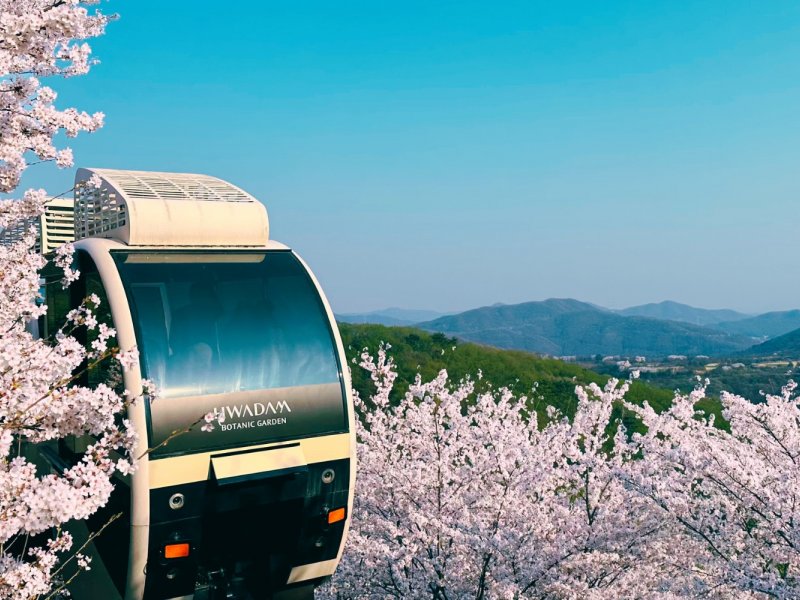 Hwadam Forest From Seoul in South Korea Hwadam Botanic Garden + Nami Island + Gangchon Railbike One Day Tour