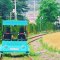 Highlights of Nami Island, Railbike, and Bird Park