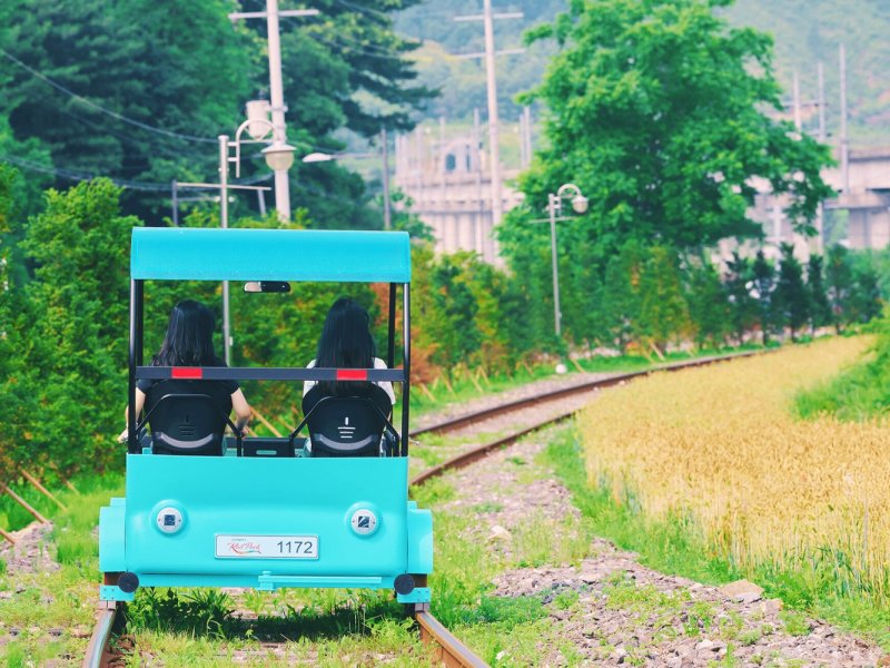 Tour Highlights Highlights of Nami Island, Railbike, and Bird Park