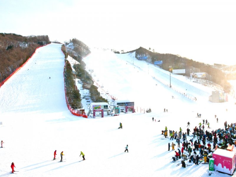 Ultimate Winter Adventure at Vivaldi Park Ski & Eobi Ice Valley Vivaldi Park Ski & Eobi Ice Valley Day Tour from Seoul