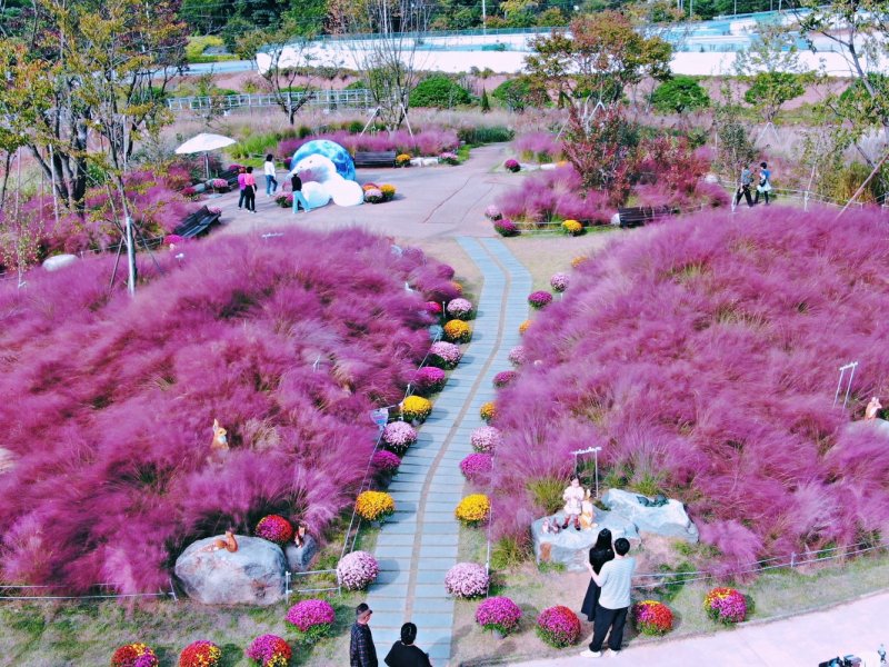 Nami Island and Bird Park Itinerary Map Nami and Bird Park tour route map