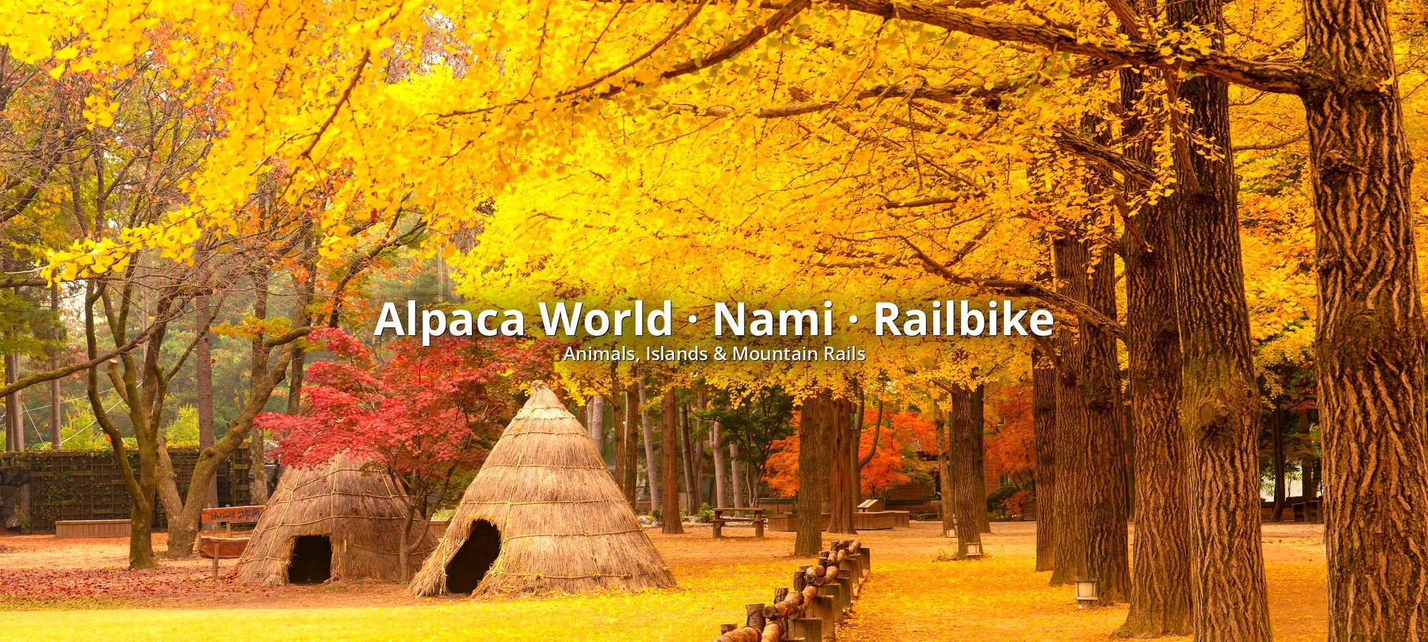 Alpaca World + Nami Island + Gangchon Railbike One Day Tour - Guided Day Tour from Seoul Scenic tour destination landscape with travelers exploring Korea's famous landmarks