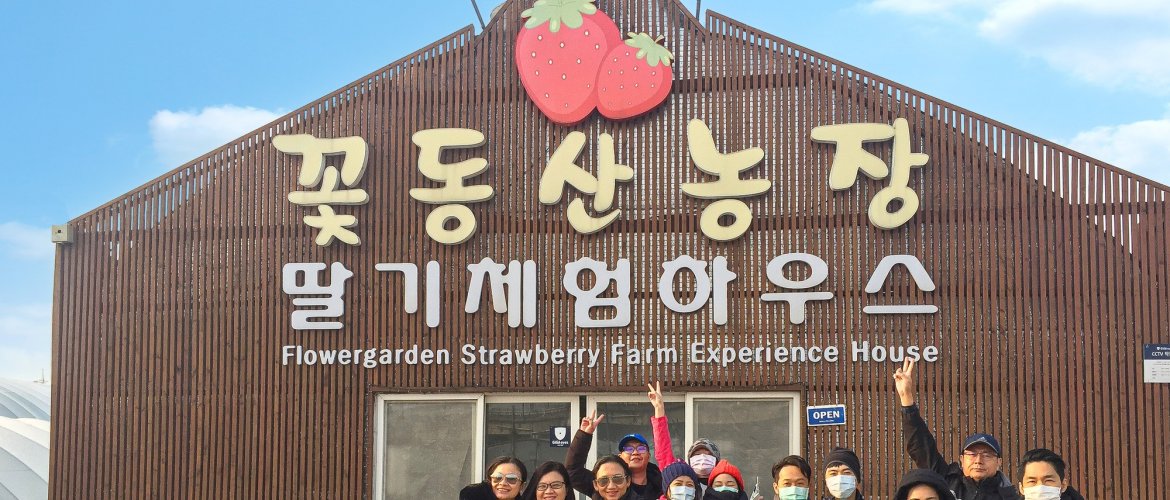 Services included in Pocheon tour Tour bus and apple farm with visitors picking fresh fruit