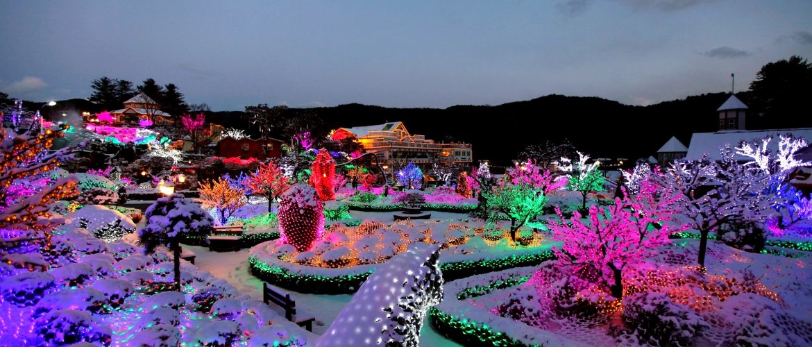 Highlights of Pocheon tour experience Pocheon Art Valley modern art with Garden of Morning Calm botanical beauty