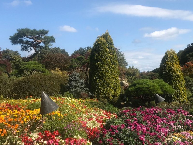 Tour Info and Travel Tips Visitors cycling and strolling in the garden