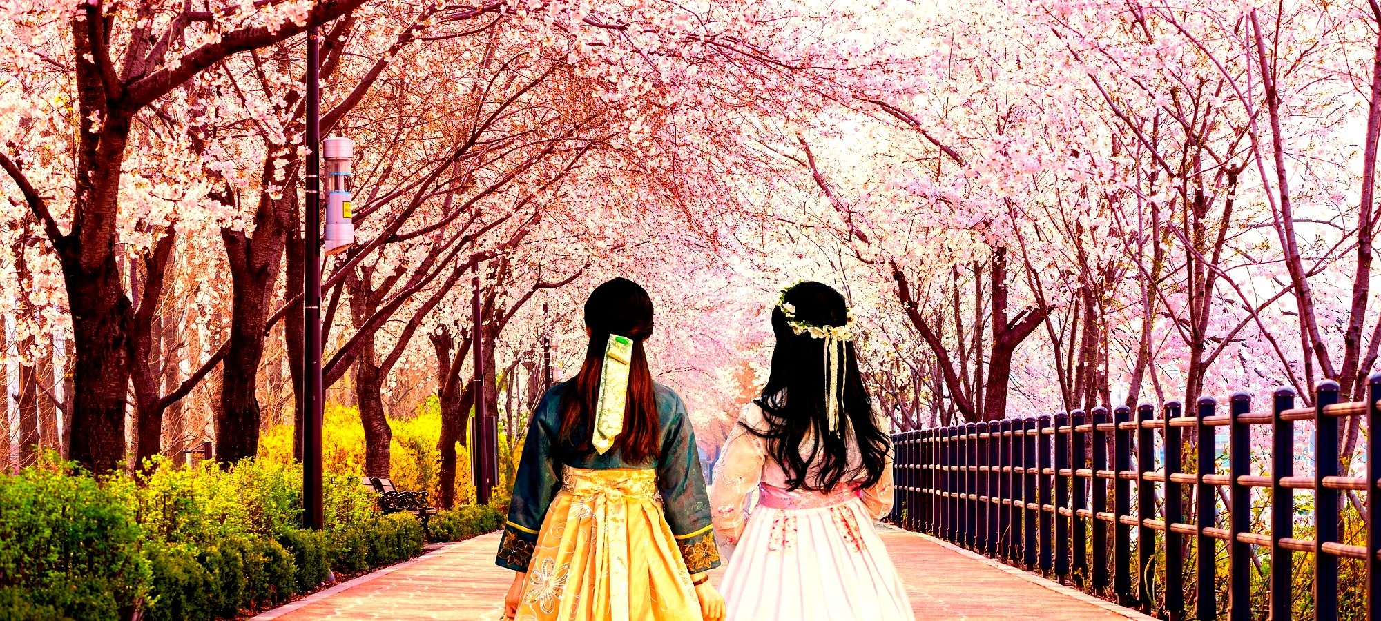 Quick facts and logistics Jinhae Gunhangje cherry blossom tour Busan subway map showing pickup locations for Jinhae cherry blossom tour