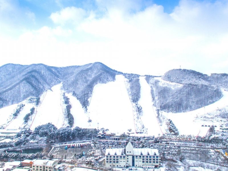 Jisan Forest Ski Resort Winter View Snow-covered slopes and pine trees at Jisan Ski Resort