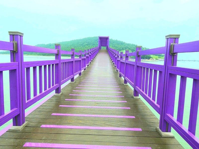 Purple Island Tour Purple Island Tour