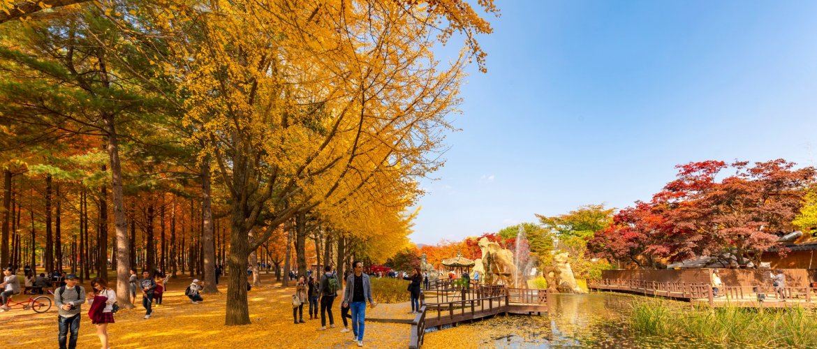 Photo of Nami Island + Gangchon Railbike One Day Tour attractions Beautiful landscape view of tour destinations in Gapyeong and surrounding areas