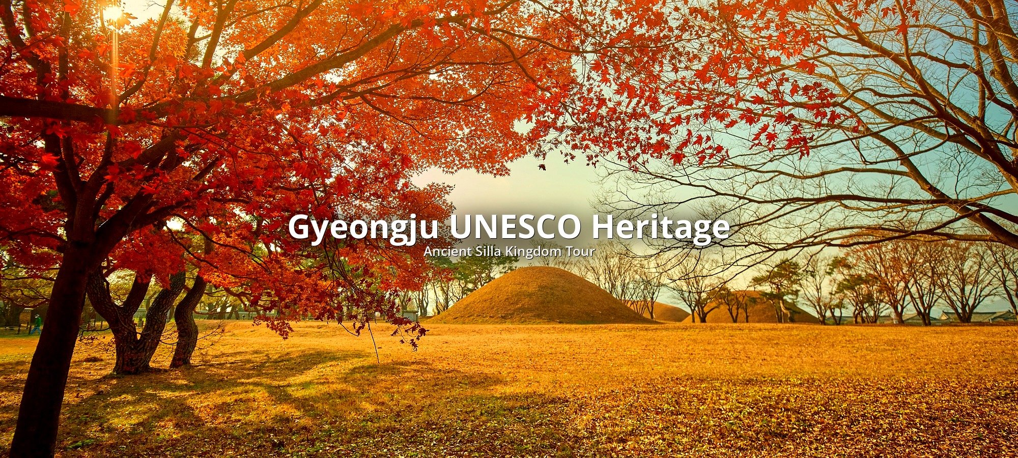 What's included in your tour Tour services and package contents