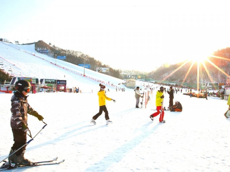 Ski Resort Vivaldi Park Viva Ski Camp Korea