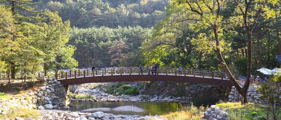 Quick facts for Nami Island and Mt. Seorak tour Nami Island and Mt. Seorak practical information