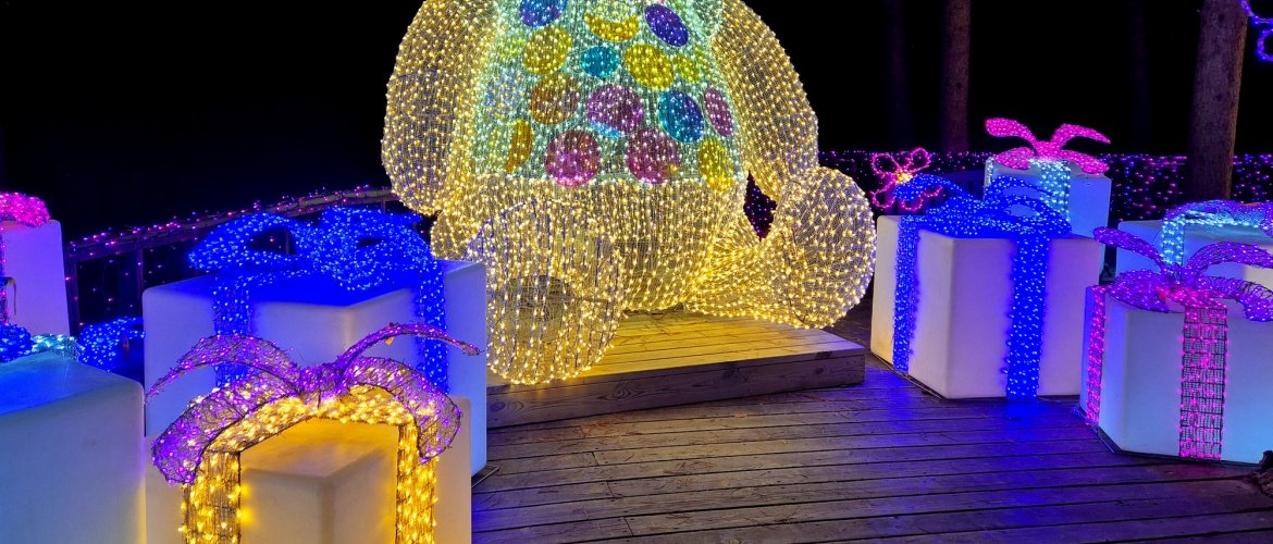 Highlights of Nami Island + The Garden of Morning Calm One Day Tour Tour group enjoying scenic views at a major attraction