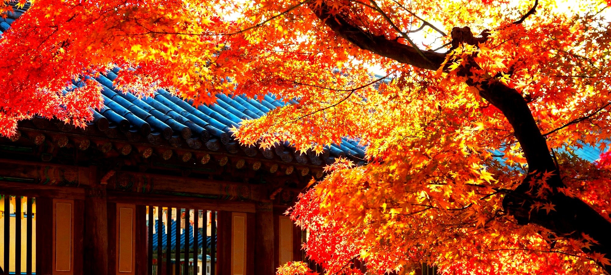 Important information for booking Booking information and tour logistics