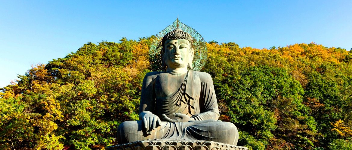 Quick facts for Nami Island and Mt. Seorak tour Nami Island and Mt. Seorak practical information