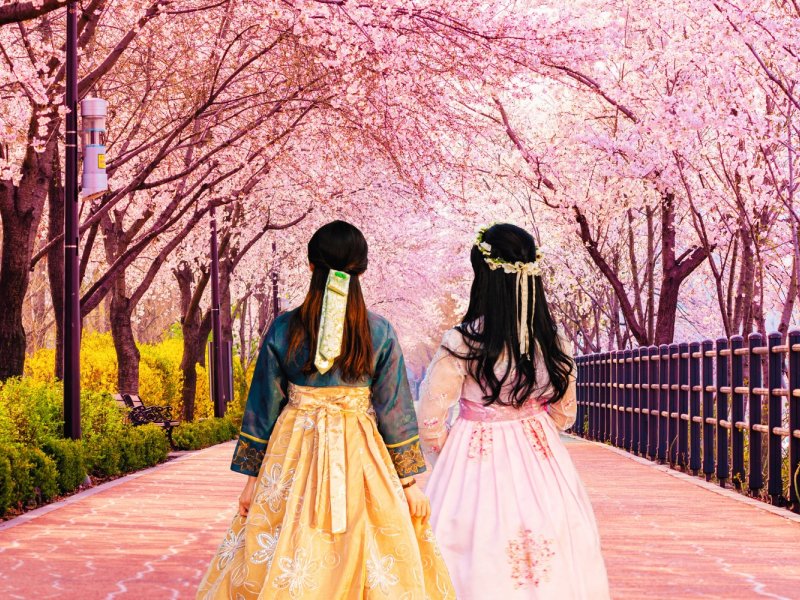 Seoul Morning Departure Tour bus departing Seoul in early morning with city skyline