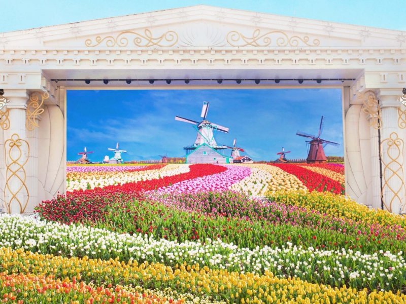 Everland: Full Day Tour from Seoul
