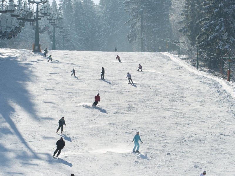 Tour Benefits Group enjoying sledding at ski resort