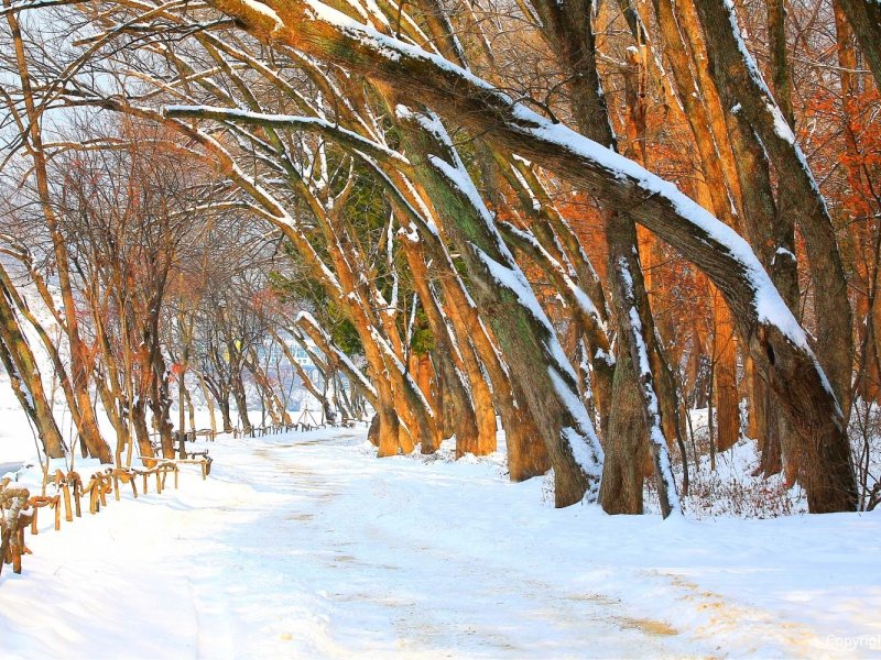 Customer FAQs Tourists asking questions at ski resort