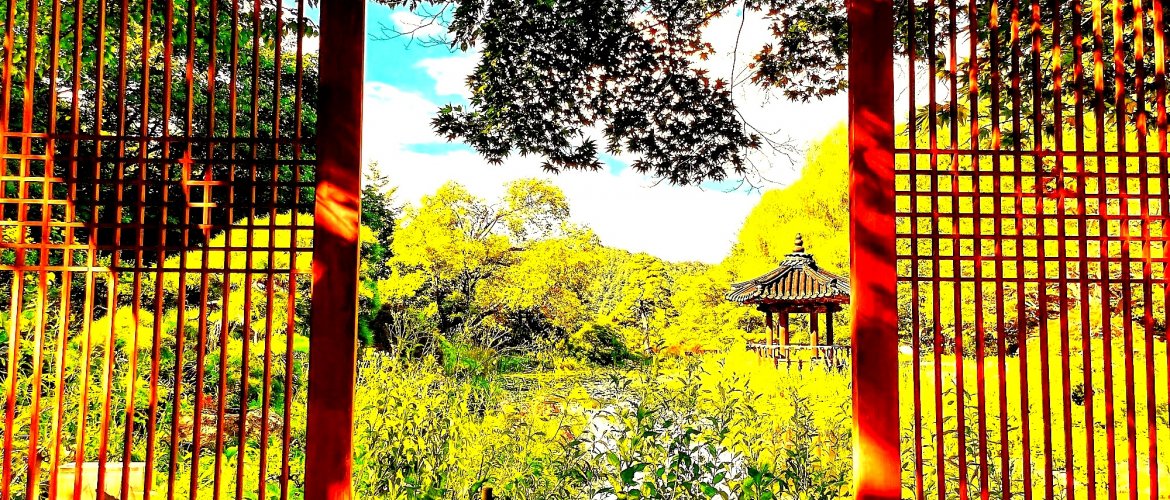 Quick facts and practical details for Nami Island + Gangchon Railbike One Day Tour Seoul subway station map showing convenient tour pickup locations
