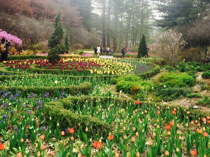 Book Nami Island and Garden Tour Booking banner - Nami and Morning Calm